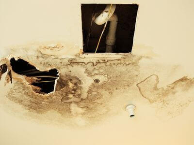 Professional ceiling water damage repair services in Fort Pierce